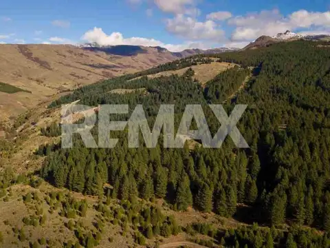 Terreno en Venta en San Martín de los Andes, Lácar