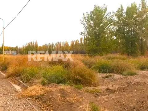 Terreno en Venta en Centenario, Confluencia