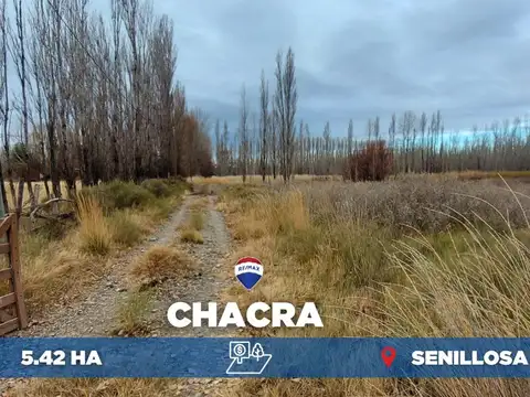 Campo en Venta en Senillosa, Confluencia