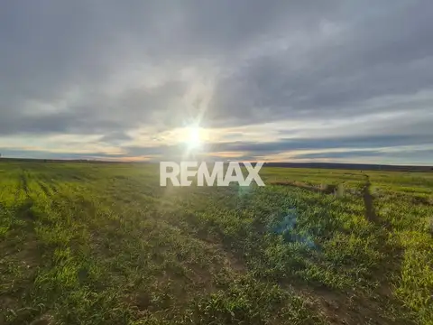 Campo en Venta en Senillosa, Confluencia
