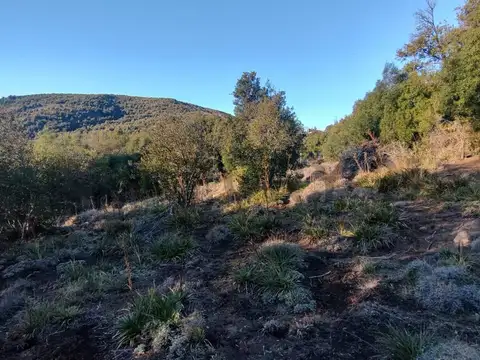 Terreno en Venta en San Martín de los Andes, Lácar