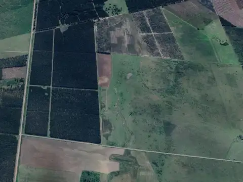 Campo en Venta en Los Charrúas, Concordia