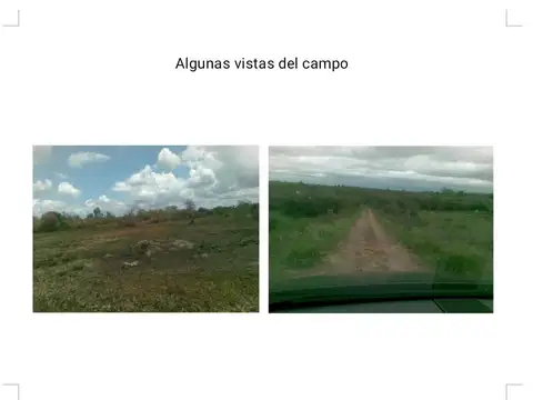 Campo en Venta en Concordia, Entre Ríos
