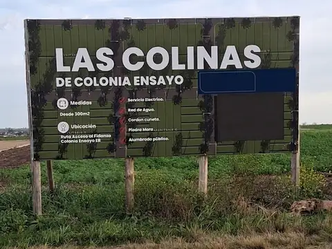 Terreno en Venta en Colonia Ensayo, Diamante