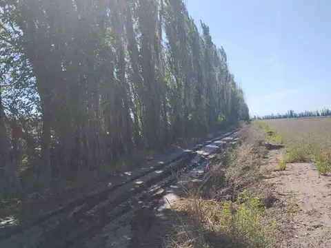 Terreno en Venta en Los Corralitos, Guaymallén
