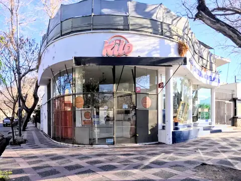 Negocio especial en Venta en Sexta Sección, Mendoza
