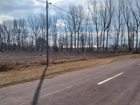Terreno en Venta en Bowen, General Alvear