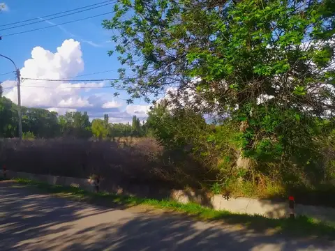 Terreno en Venta en Tunuyan, Tunuyán