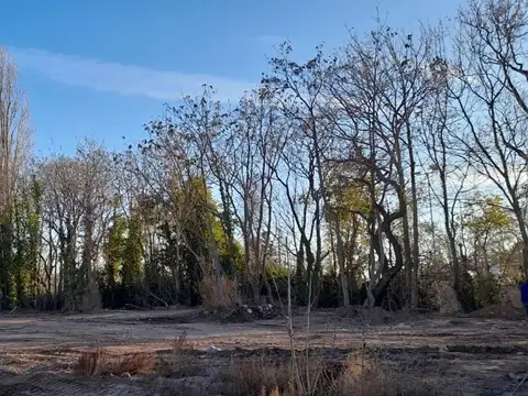 Terreno en Venta en Lujan de Cuyo, Luján de Cuyo