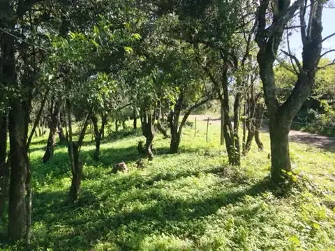 Terreno en Venta en Salsipuedes, Colón