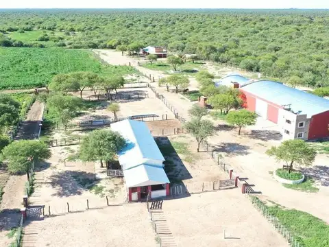 Campo en Venta en Villa de Soto, Cruz del Eje