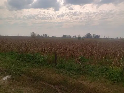 Campo en Venta en Esperanza, Las Colonias