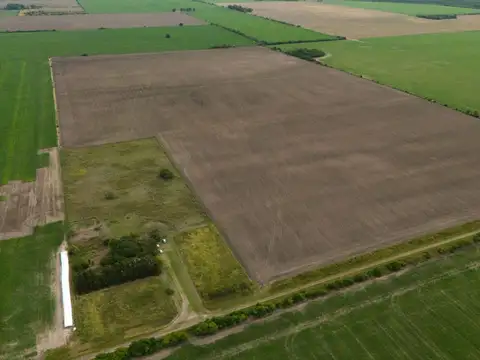 Campo en Venta en Victor Manuel Segundo, General Obligado