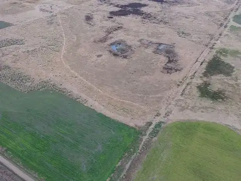 Campo en Venta en Venado Tuerto, General López