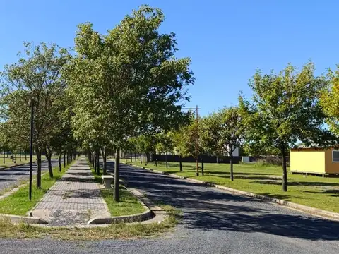 Terreno en Venta en Villa la Ribera, Iriondo