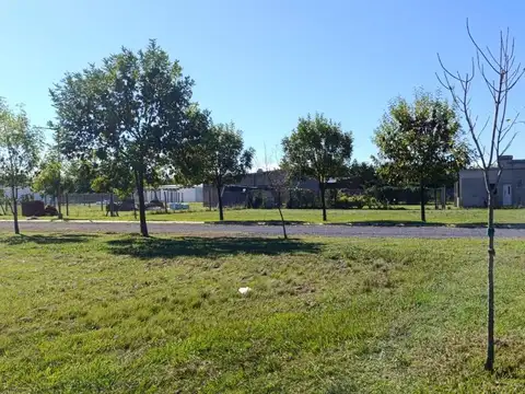 Terreno en Venta en Villa la Ribera, Iriondo