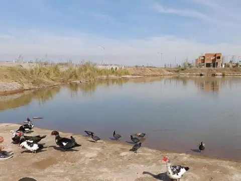 Terreno en Venta en Roldan, San Lorenzo