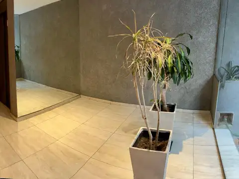 Departamento en Alquiler en Boedo, CABA