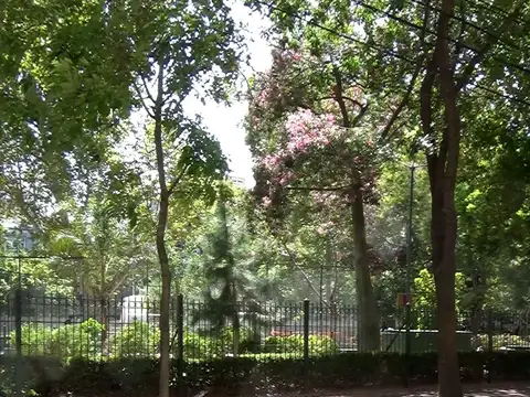 Galpón en Alquiler en Balvanera, Capital Federal