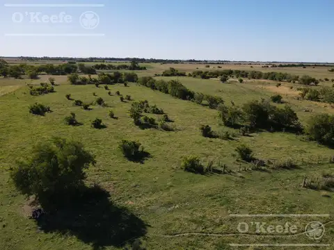 Campo en Venta en Ranchos, Partido de General Paz