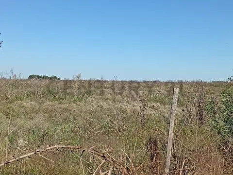Campo en Venta en General Rodriguez, Partido de General Rodríguez