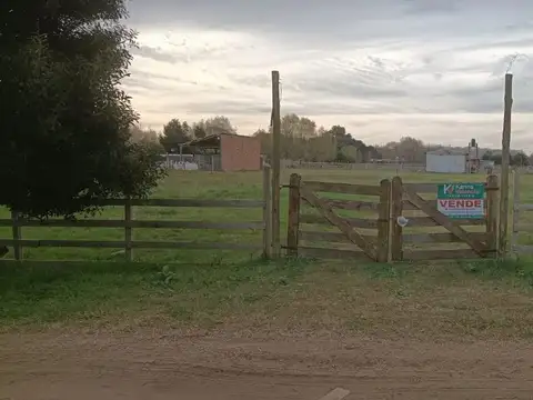Campo en Venta en Paraje Pavón, Partido de General Lavalle