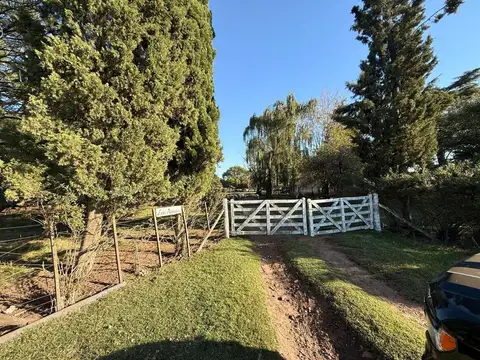Campo en Venta en 9 de Julio, Partido de 9 de Julio