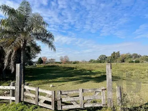 Campo en Venta en Puerto Panal, Zarate