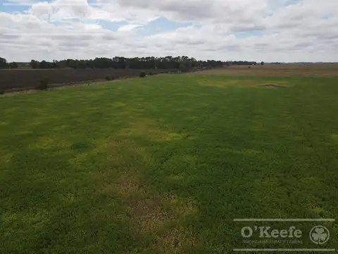 Campo en Venta en Villanueva, Partido de General Paz