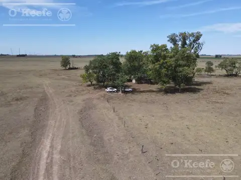 Campo en Venta en Ranchos, Partido de General Paz