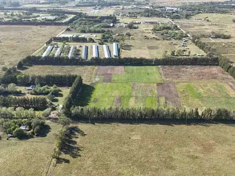 Fondo de comercio en Venta en Cañuelas, Partido de Cañuelas
