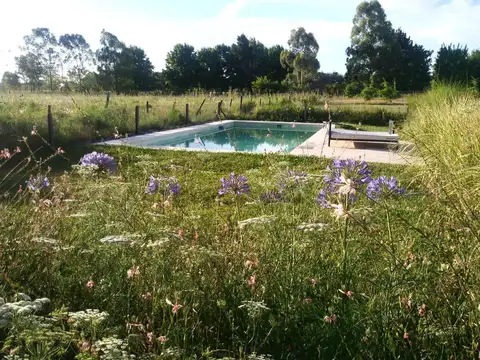 Campo en Alquiler Temporal en Asociación Argentina de Polo, Pilar