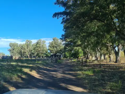 Campo en Alquiler en Medanos, Partido de Villarino