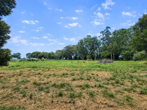 Campo en Alquiler en Villa Parque Sicardi, Partido de La Plata