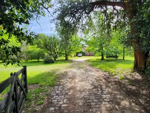 Campo en Alquiler en Carabassa, Pilar
