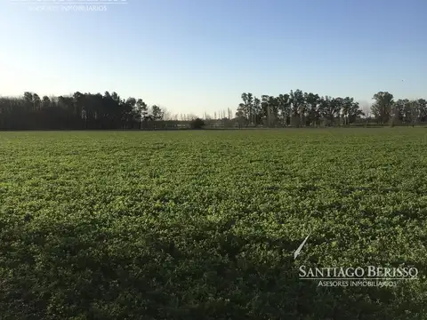 Campo en Venta en Zárate, Partido de Zárate