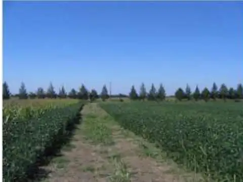 Campo en Venta en Parada Robles, Partido de Exaltación de la Cruz
