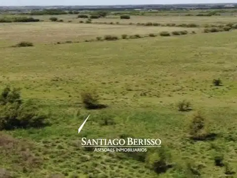 Campo en Venta en Carlos Lemee, Partido de Exaltación de la Cruz