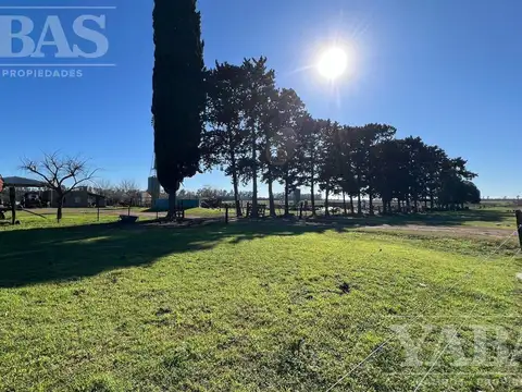 Campo en Venta en San Pedro, Partido de San Pedro