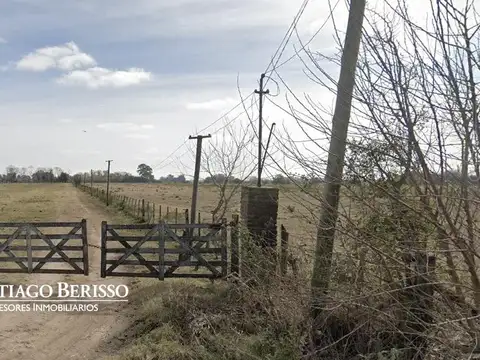 Campo en Venta en Carlos Lemee, Partido de Exaltación de la Cruz