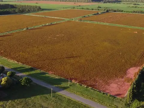 Campo en Venta en Gobernador Castro, Partido de San Pedro