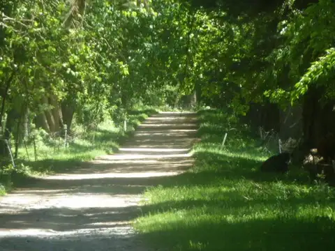 Campo en Venta en Olavarría, Partido de Olavarría