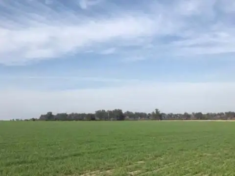 Campo en Venta en Cardales Village, Countries y Barrios Cerrados en Campana