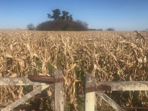 Campo en Venta en La Luisa, Partido de Capitán Sarmiento