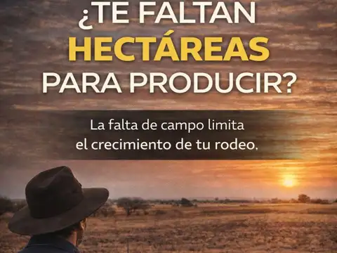Campo en Venta en Alférez San Martín, Partido de Bahía Blanca
