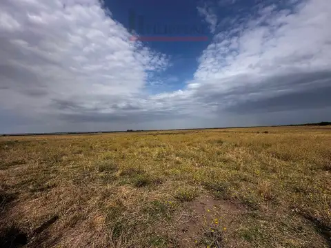 Campo en Venta en Bahia Blanca, Partido de Bahía Blanca