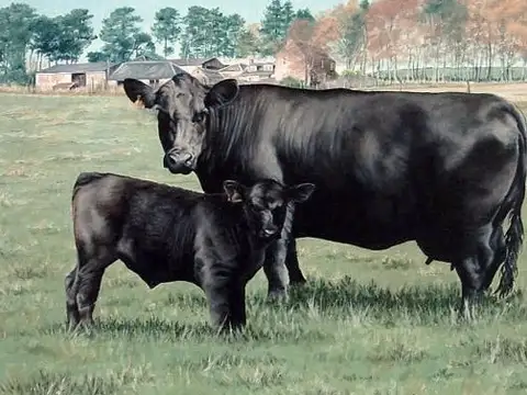 Campo en Venta en General Juan Madariaga, Partido de General Juan Madariaga