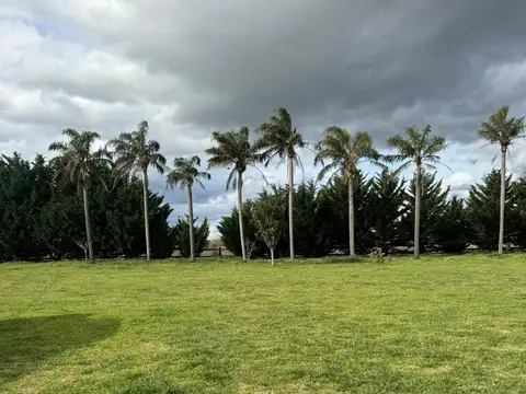 Campo en Venta en Comandante Giribone, Partido de Chascomús