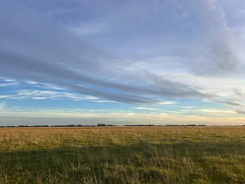 Campo en Venta en Ayacucho, Partido de Ayacucho