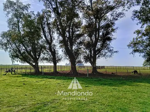 Campo en Venta en Dolores, Partido de Dolores